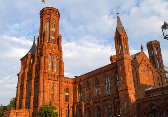 website designer in india